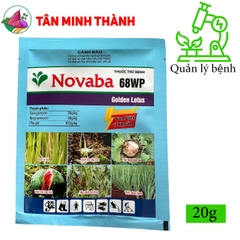 Novaba 68WP - Thuốc trừ thối nhũn, chết ẻo cây con, bạc lá lúa, thối trái, héo xanh