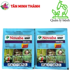 Novaba 68WP - Thuốc trừ thối nhũn, chết ẻo cây con, bạc lá lúa, thối trái, héo xanh