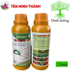 Nutri One - Thuốc tốt rễ, xanh cây, tăng cường đề kháng