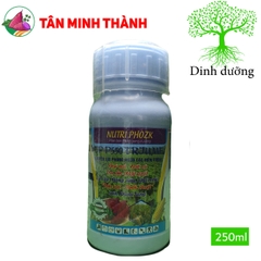 Nutri Phozk - Thuốc tạo củ, to củ khoai lang, giảm khô mủ, nứt củ, da sần, da cây, đầu voi-đuôi chuột, dứng dây