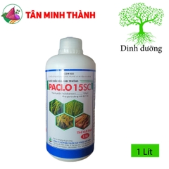 Paclo 15SC - Thuốc kích thích ra hoa, chặn đọt, cứng cây, phân hóa mầm hoa