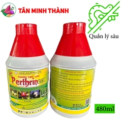 Perthrin 50EC - Thuốc đặc trị sâu cuốn lá, sâu khoang, bọ xít muỗi, sâu ăn tạp, rệp sáp, sâu keo mùa thu