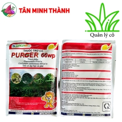 PURGER 66WP - Thuốc cỏ lưu dẫn, không chọn lọc, thuốc cỏ khai hoang