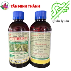 Pycythrin 5EC - Thuốc đặc trị sâu phao, bọ xít, sâu cuốn lá
