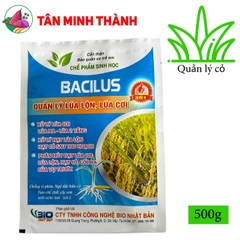 Quản lý lúa lộn - Thuốc trừ lúa cỏ, lúa cơi, lúa 2 tầng, lúa von