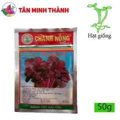 Rau Dền Đỏ - Hạt giống Chánh Nông
