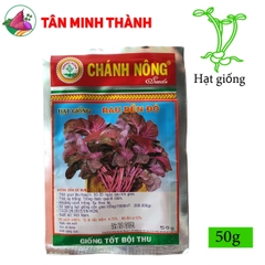 Rau Dền Đỏ - Hạt giống Chánh Nông