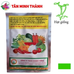 Rau Dền Đỏ - Hạt giống Chánh Nông