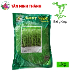 Rau Muống - Hạt giống Nam Việt