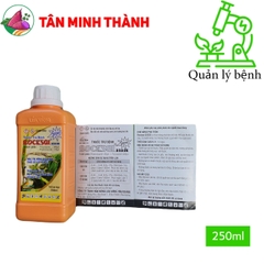 Rocksai Lúa Vàng 525SE - Thuốc đặc trị đạo ôn lá, đạo ôn cổ bông, thối cổ gié, đốm lá