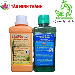 Rocsai Physan - Thuốc trừ bệnh do nấm và khuẩn, đạo ôn, vàng lá, thối cổ gié, lem lép hạt, thối nhũn, vàng lá vi khuẩn