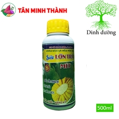 Siêu Lớn Trái Mít -Thuốc lớn trái nhanh, xanh trái, hạn chế sơ đen, to đều, chắc múi, nặng ký, nở gai, giảm méo trái