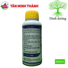 Siêu Lớn Trái Mít -Thuốc lớn trái nhanh, xanh trái, hạn chế sơ đen, to đều, chắc múi, nặng ký, nở gai, giảm méo trái