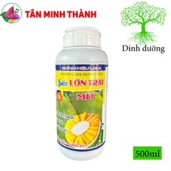 Siêu Lớn Trái Mít -Thuốc lớn trái nhanh, xanh trái, hạn chế sơ đen, to đều, chắc múi, nặng ký, nở gai, giảm méo trái