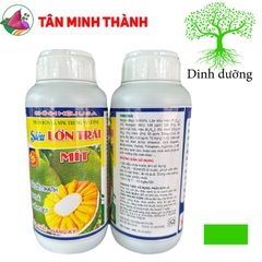 Siêu Lớn Trái Mít -Thuốc lớn trái nhanh, xanh trái, hạn chế sơ đen, to đều, chắc múi, nặng ký, nở gai, giảm méo trái
