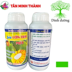 Siêu Lớn Trái Mít -Thuốc lớn trái nhanh, xanh trái, hạn chế sơ đen, to đều, chắc múi, nặng ký, nở gai, giảm méo trái