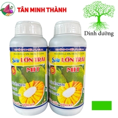Siêu Lớn Trái Mít -Thuốc lớn trái nhanh, xanh trái, hạn chế sơ đen, to đều, chắc múi, nặng ký, nở gai, giảm méo trái