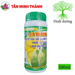 Siêu Lớn Trái Mít - Thuốc to trái, xanh trái, nở gai, ngừa sơ đen