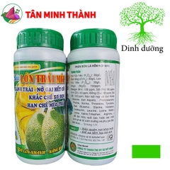 Siêu Lớn Trái Mít - Thuốc to trái, xanh trái, nở gai, ngừa sơ đen