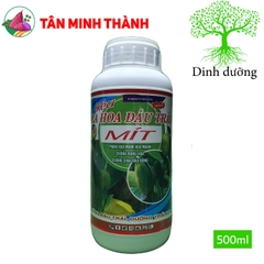 Siêu ra hoa đậu trái Mít 999 - Phân hóa mầm hoa, đậu trái chống rụng hoa, chống chai đầu bông