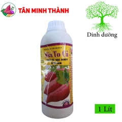 Siêu To Củ Khoai Lang - Thuốc đứng dây lớn củ, chắc củ khoai lang, ngừa thối củ, tim củ, sượng củ