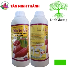 Siêu To Củ Khoai Lang - Thuốc đứng dây lớn củ, chắc củ khoai lang, ngừa thối củ, tim củ, sượng củ