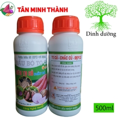 Siêu To Củ Phước Hưng - Giúp lớn củ, bóng da, đẹp màu, nặng ký, tạo nhiều tinh bột, phân bón lá cao cấp