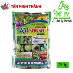 Sunshi 21WP - Thuốc trừ vi khuẩn gây bệnh bạc lá, lem lép hạt, loét trái, lác đồng tiền, thối nhũn