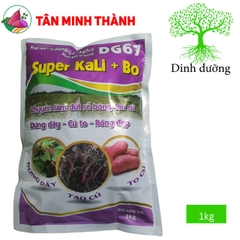 Super Kali Bo DG67 - Thuốc giúp Khoai Lang đứng dây, xuống củ, to củ, bóng da, dứt rễ bông, hãm đọt