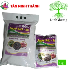 Super Kali Bo DG67 - Thuốc giúp Khoai Lang đứng dây, xuống củ, to củ, bóng da, dứt rễ bông, hãm đọt