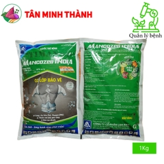 Timan 80WP Mancozeb Xanh Ấn Độ - Thuốc trừ bệnh thán thư, thối nhũn, ghẻ sẹo, thối củ, thối trái