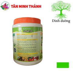 TL 10-60-10 - Thuốc tạo mầm hoa, kích thích ra hoa, đậu trái