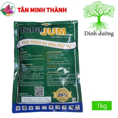 Toba Jum 20WP - Thuốc phân hóa mầm hoa, cứng cây, đứng dây, dày lá, ra hoa nhanh, đồng loạt