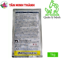 Totan 200WP - Thuốc đặc trị vi khuẩn, thối nhũn, vàng lá, héo xanh, lép vàng, thối trái, đốm lá