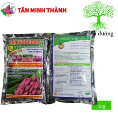 Trichoderma DHL - Thuốc cải tạo đất, phát triển rễ,  giải độc hữu cơ, tăng hệ vi sinh đất, đối kháng nấm khuẩn hại