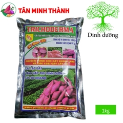 Trichoderma DHL - Thuốc cải tạo đất, phát triển rễ,  giải độc hữu cơ, tăng hệ vi sinh đất, đối kháng nấm khuẩn hại