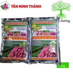 Trichoderma DHL - Thuốc cải tạo đất, phát triển rễ,  giải độc hữu cơ, tăng hệ vi sinh đất, đối kháng nấm khuẩn hại