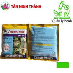 Voces 25WP - Thuốc đặc trị chết cây con, sương mai, ghẻ sẹo, xì mủ, sương mai, chết nhanh, thán thư