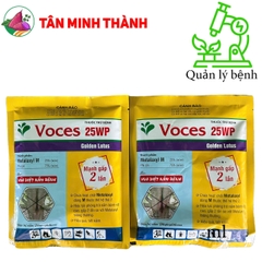 Voces 25WP - Thuốc đặc trị chết cây con, sương mai, ghẻ sẹo, xì mủ, sương mai, chết nhanh, thán thư