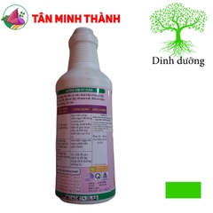 Vua Phì Củ Nhật - Thuốc đứng dây, to củ, bóng củ, lớn củ, nặng ký, hạn chế thối đồng tiền, sượng củ, thối củ