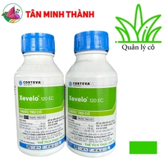 Xevelo 120EC - Thuốc đặc trị cỏ chác lác, cỏ lá rộng