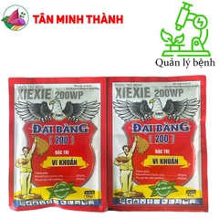 Xiexie 200SL Đại Bàng - Thuốc đặc trị vi khuẩn gây cháy bìa lá, bạc lá, cháy lá, thối nhũn, héo xanh, thối củ