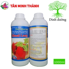 Xuống Củ Khoai Lang KL03 - Thuốc đứng dây, tạo củ đồng loạt, hình thành rễ củ, hạn chế lát đồng tiền