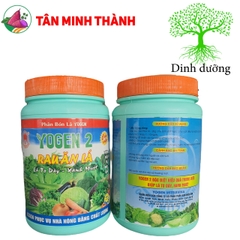 Yogen 2 Rau Ăn Lá - Thuốc kích thích sinh trưởng, to lá, dày lá, to củ