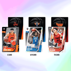 Bộ 10 thẻ Cầu thủ - VBA Basketball Card 2024