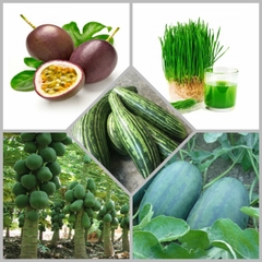 Combo hạt giống CB18