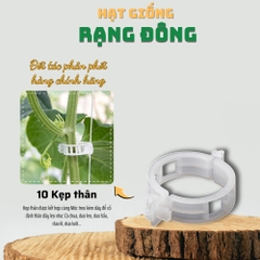 Kẹp thân cây dây leo - 10 cái