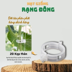 Kẹp thân cây dây leo - bô 20 cái