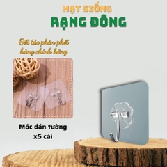 Móc dán tường trong suốt - 5 miếng