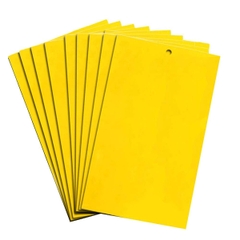 Miếng dán côn trùng
